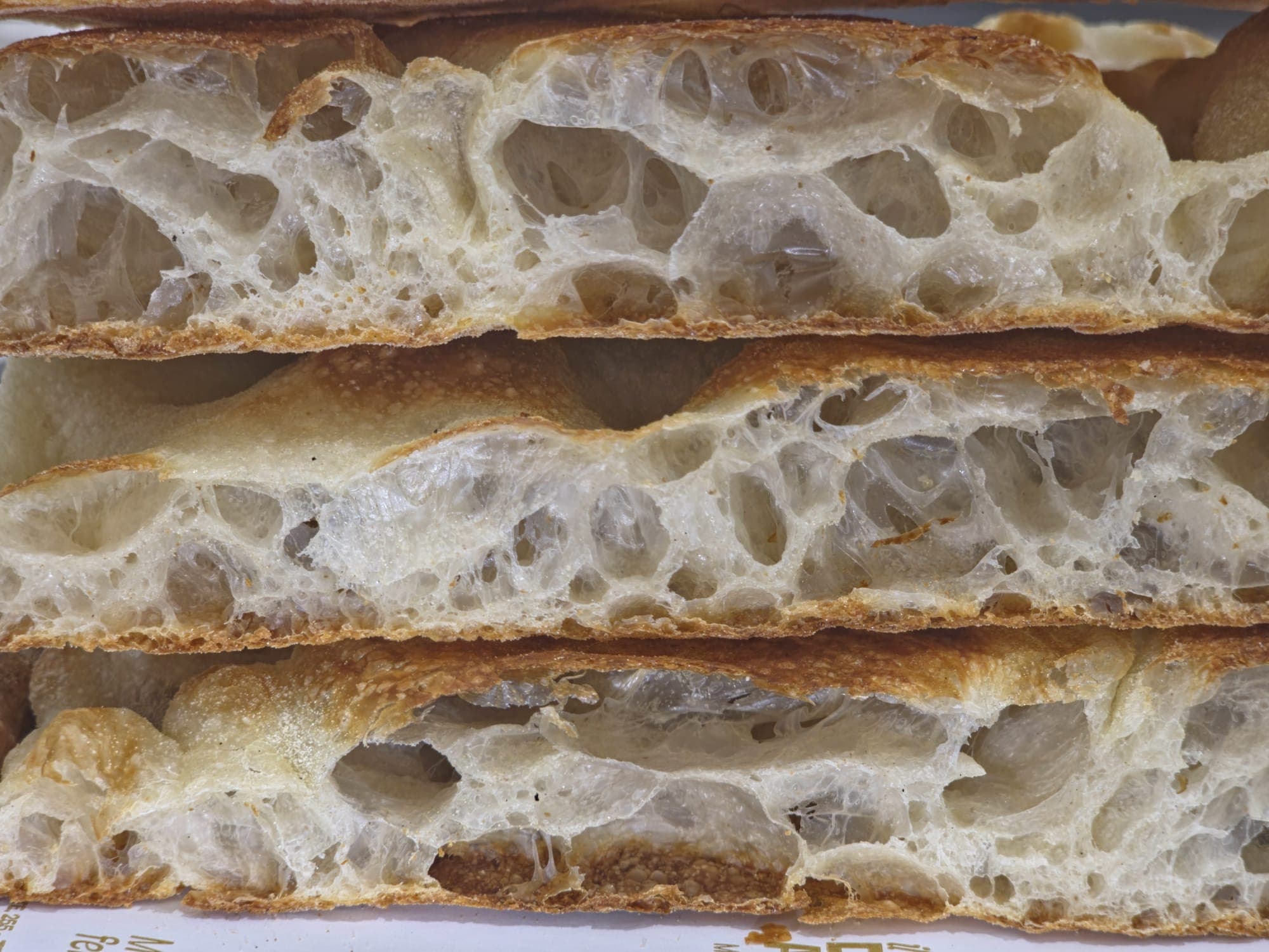 Pane