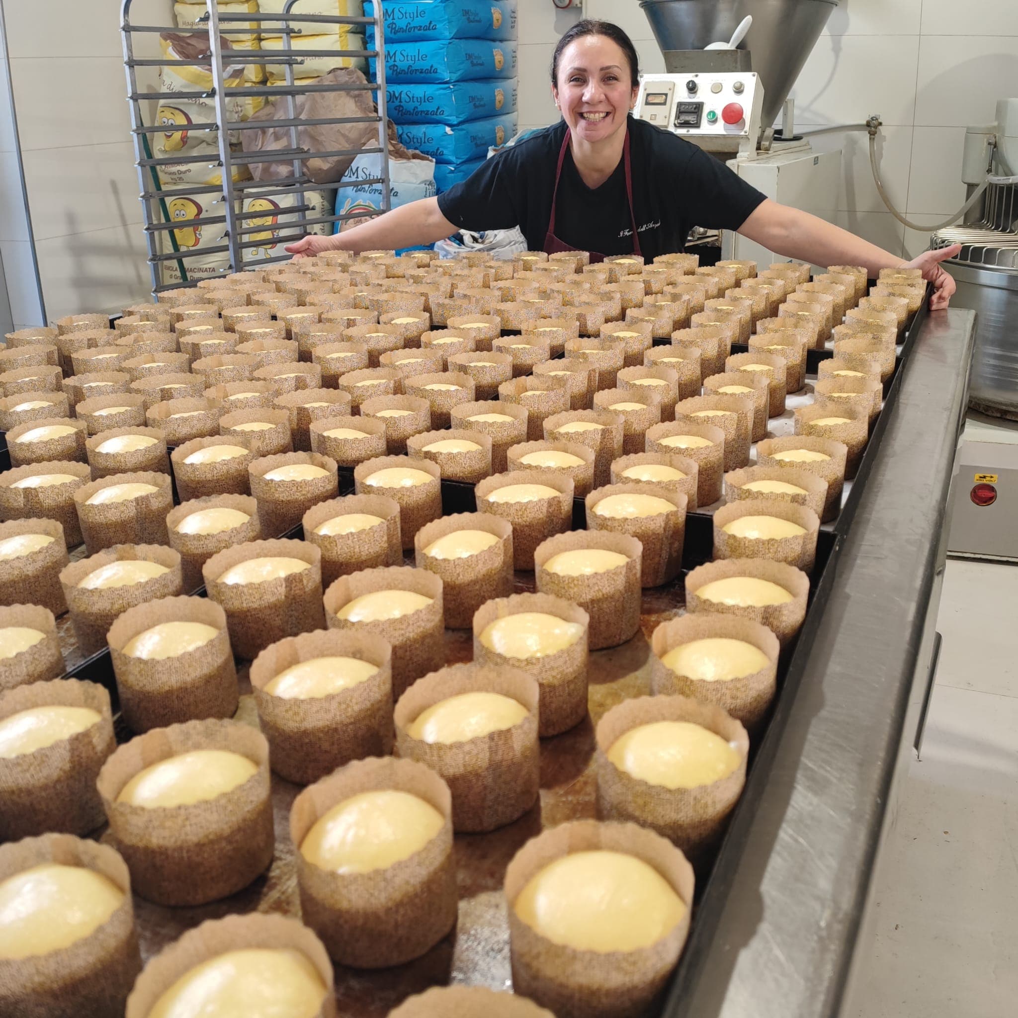 Panettoni in lievitazione, produzione artigianale